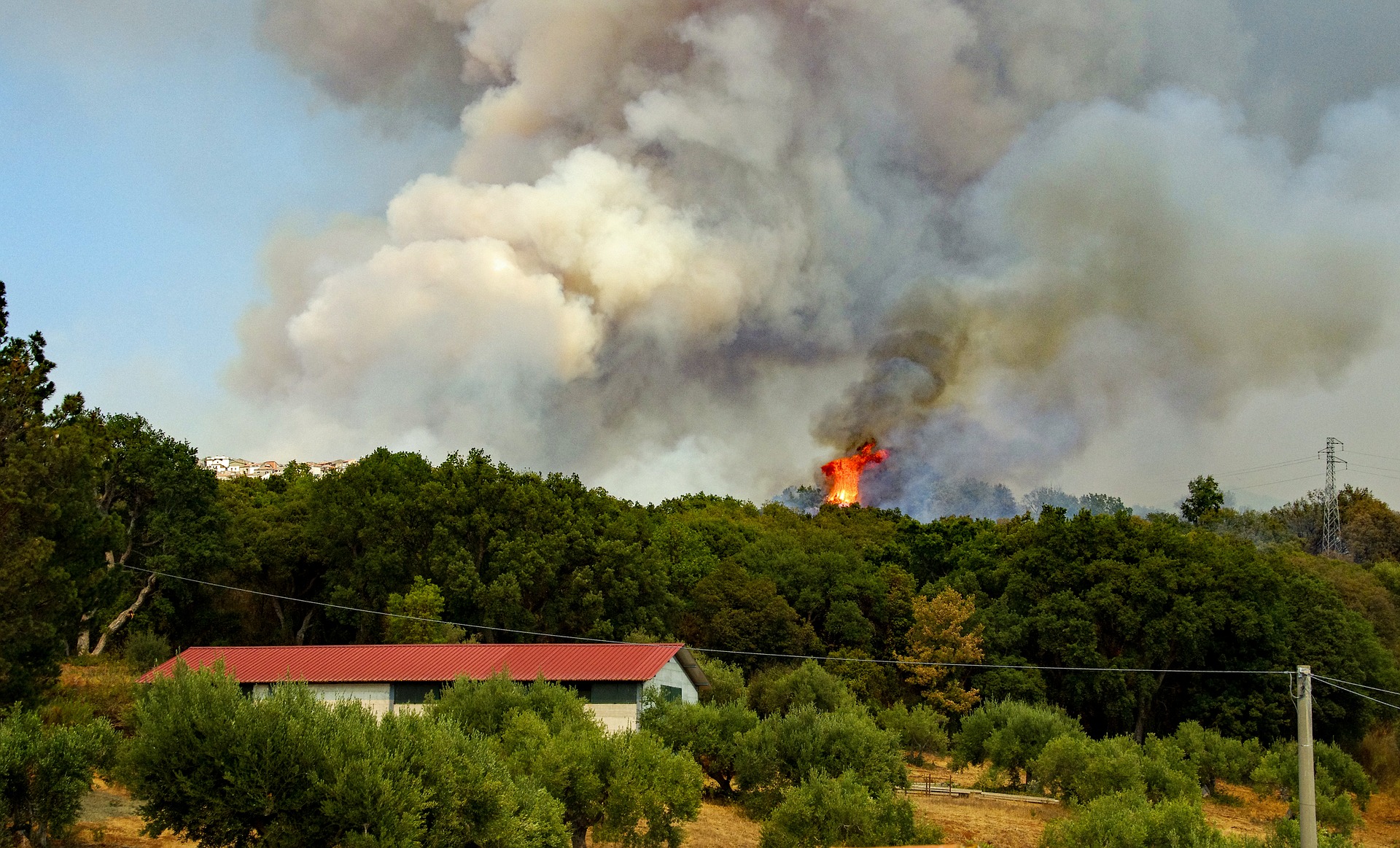 Cause Of Fire DEdu Labs Understand Better